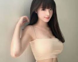 核心分类专区